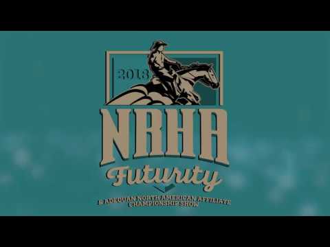 2018 NRHA Futurity: Million Dollar Sires Pale Face Dunnit and Spooks Gotta Whiz