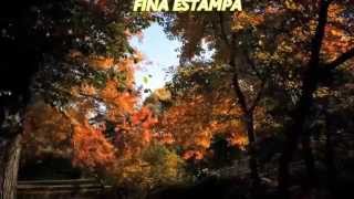 Juan Torres y su Organo Melodico   FINA ESTAMPA