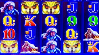 AMAZING UP & DOWN BIG WIN #slotman #casino #timberwolfdeluxe #win