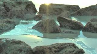 See You Again - Miley Cyrus &amp; The Click 5 -  I Think We&#39;re Alone Now.[video cover]