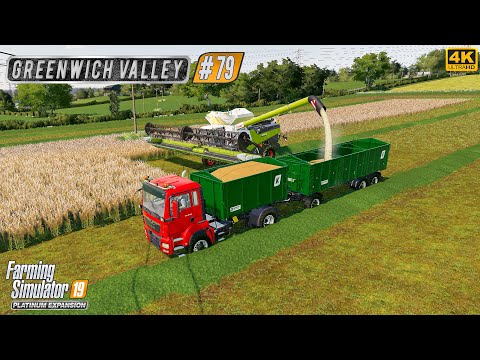 Harvesting & Selling Field Grass & Making Grass Silage ⭐ Greenwich Valley #79 ⭐ FS19 TimeLapse