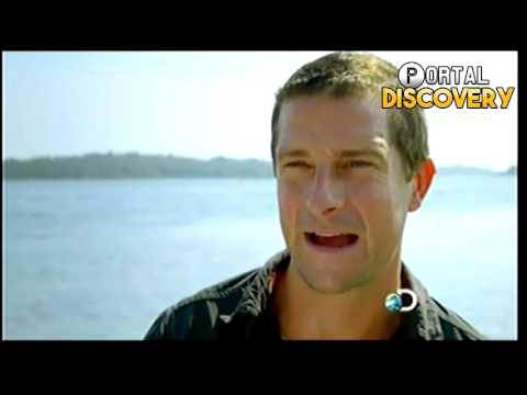 ilhados com Bear Grylls 2º temporada - Episodio 1 (NOVA TEMPORADA)