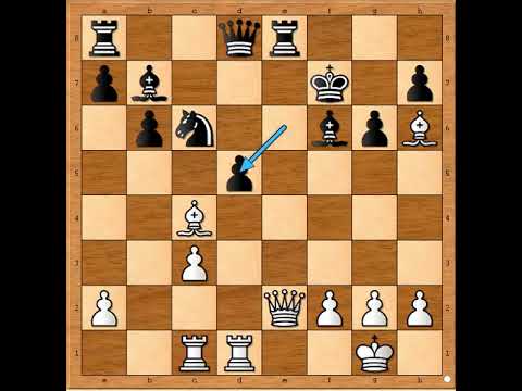 Potez genija prava poslastica 👍💥💥👍  ZAGREBELNY vs PONYI #2766