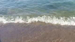Как ловить ракушки в черном море