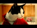 Fresh Step Cat Litter Commercial