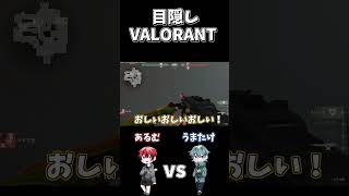 目隠しVALORANT【馬たけVSあるむ】