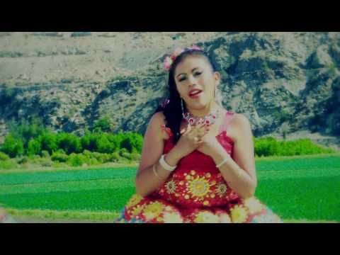 AUDACIA DE AMOR DE VIRGINIA PAZA = CONFESIÓN DE AMOR (Primicia 2017)