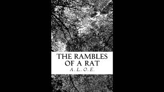The Rambles of a Rat