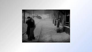 The Magnetic Fields - &#39;01: Have You Seen It In The Snow? (Slowed + Reverb)