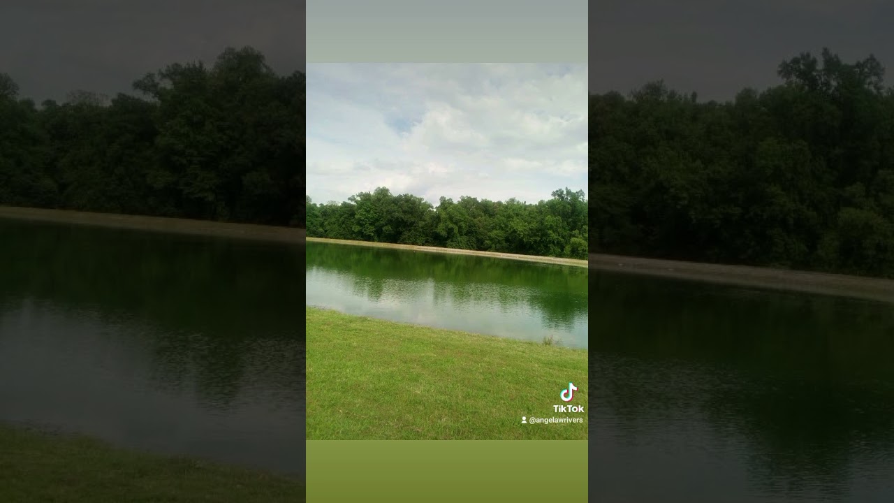 LinkedIn Launches Live Test of AI Posts