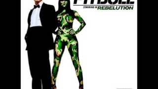 12 Give Them What They Ask For- Pitbull