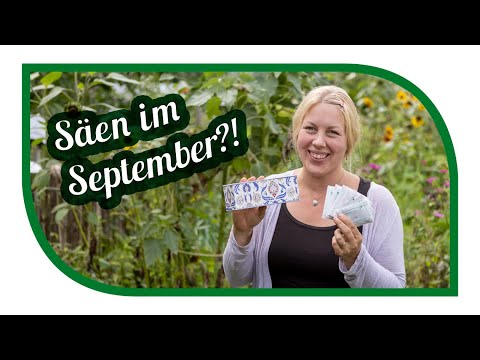 Important vegetables for September sowing | Sowing tips for autumn and winter