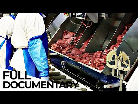 , title : 'The Meat Lobby: How the Meat Industry Hides the Truth | ENDEVR Documentary'