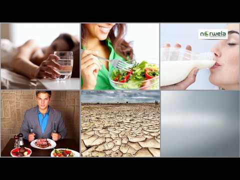 Norwela herbal kidney stone capsule, for personal, packaging...