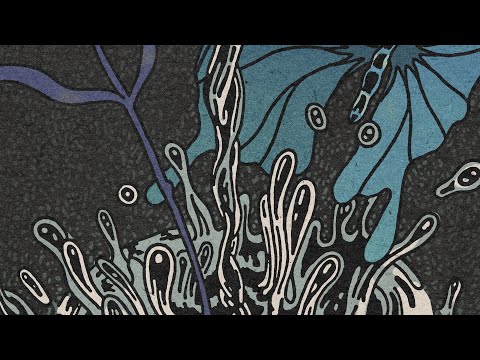 Janus Rasmussen - Drain (Official Video)