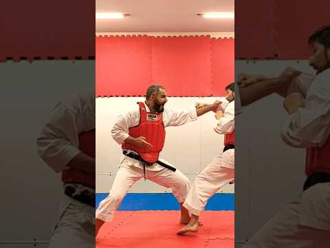 Kumite combinations. Haito uchi. Kagayaku Worldwide