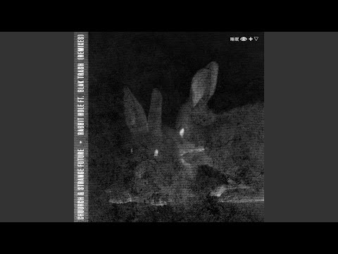 Rabbit Hole (feat. Blak Trash) (SYN Remix)