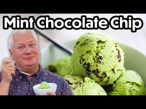 HOMEMADE Mint Chocolate Chip Ice Cream!