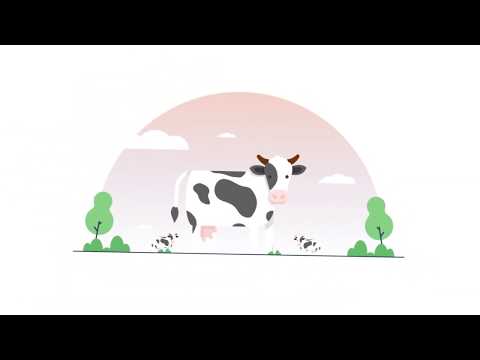 How do I know if I'm inside IR35?