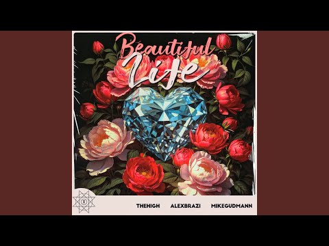 Beautiful Life