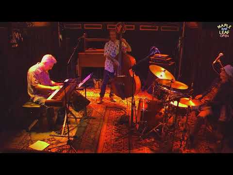 Johnny Vidacovich Trio video