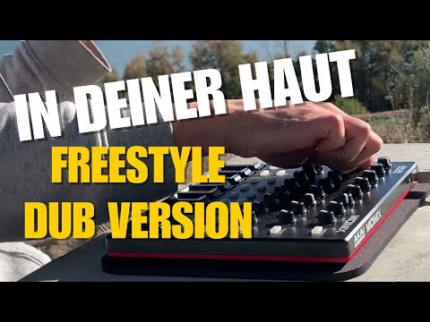 Haghbin meets Annananda - In deiner Haut // Dub Version @ Estany d'Ivars #streetdub