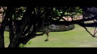 Download lagu lagu india raja versi mabak senon mp3 Download lagu lagu india raja versi mabak senon mp3