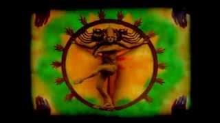 Chad Van Gaalen - Phantom Anthills.mpg