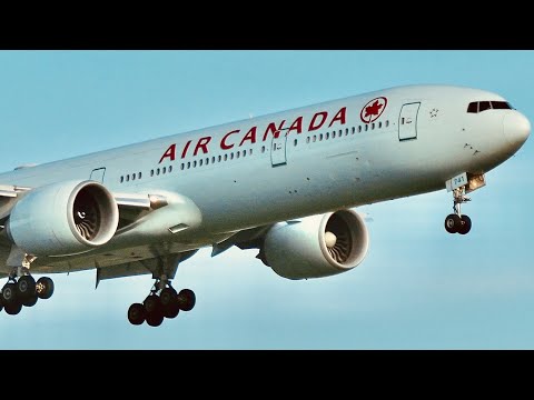 40 MINUTOS de decolagem e pouso no BRU | Aviões no aeroporto de Bruxelas avistando 11