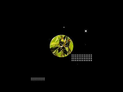 Mxxre - Magical juice [techno/tech house/tekno]