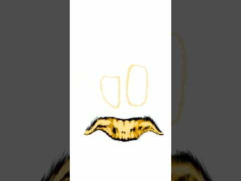 T section #roomslowdetailed