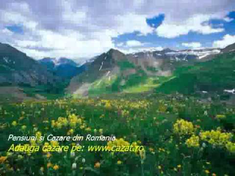 Cazare Rotari, Vaslui - Cazat.ro