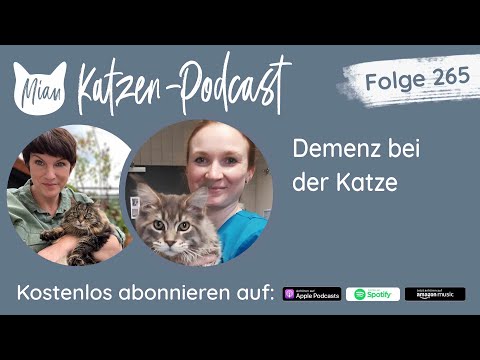 #265 Demenz bei der Katze |  Miau Katzen-Podcast