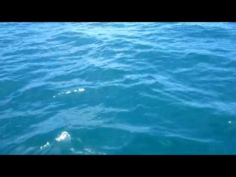 belitung mancing BFC turnamen 2013