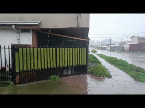 Tarde de lluvia en Mulchen, octava región del bio bio 🌨️ "la magia del sur" 