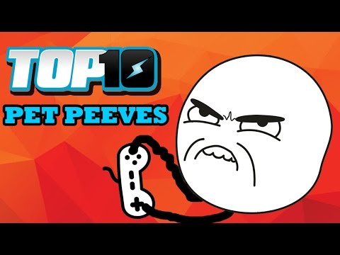Top 10 Gamer Pet Peeves