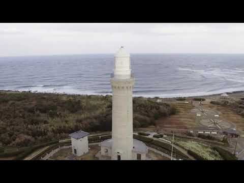 やまぐち映像図鑑 NO.071 角島灯台公園（水仙）［下関市］ | Tsunoshima Lighthouse Park [ Shimonoseki-city ]