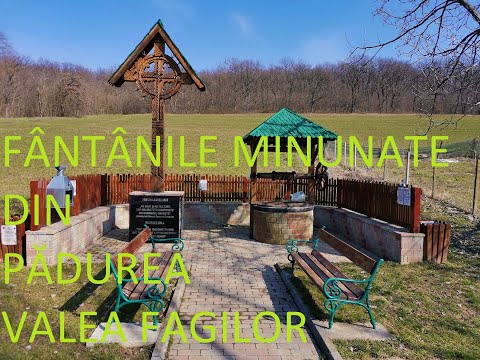 FÂNTÂNILE MINUNATE DIN PĂDUREA VALEA FAGILOR - THE WONDERFUL FOUNTAINS OF THE BEECH VALLEY FOREST