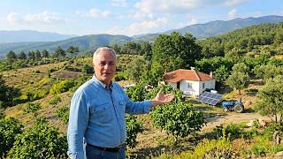 AYDIN'DA SATILIK MÜSTAKİL EV BAHÇELİ  İNCİR ZEYTİN BAHÇESİ 14500 MK ELEKTİRİK SU