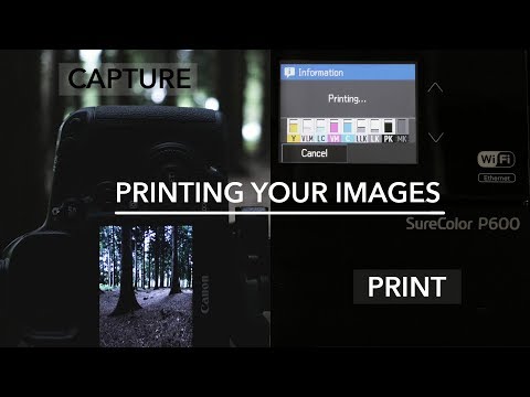 Why Print Your Images? || Printing on the Epson SC P600