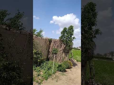 صورة مصغرة لفيديو العقار