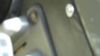 lions feeding on warthog  Serengeti