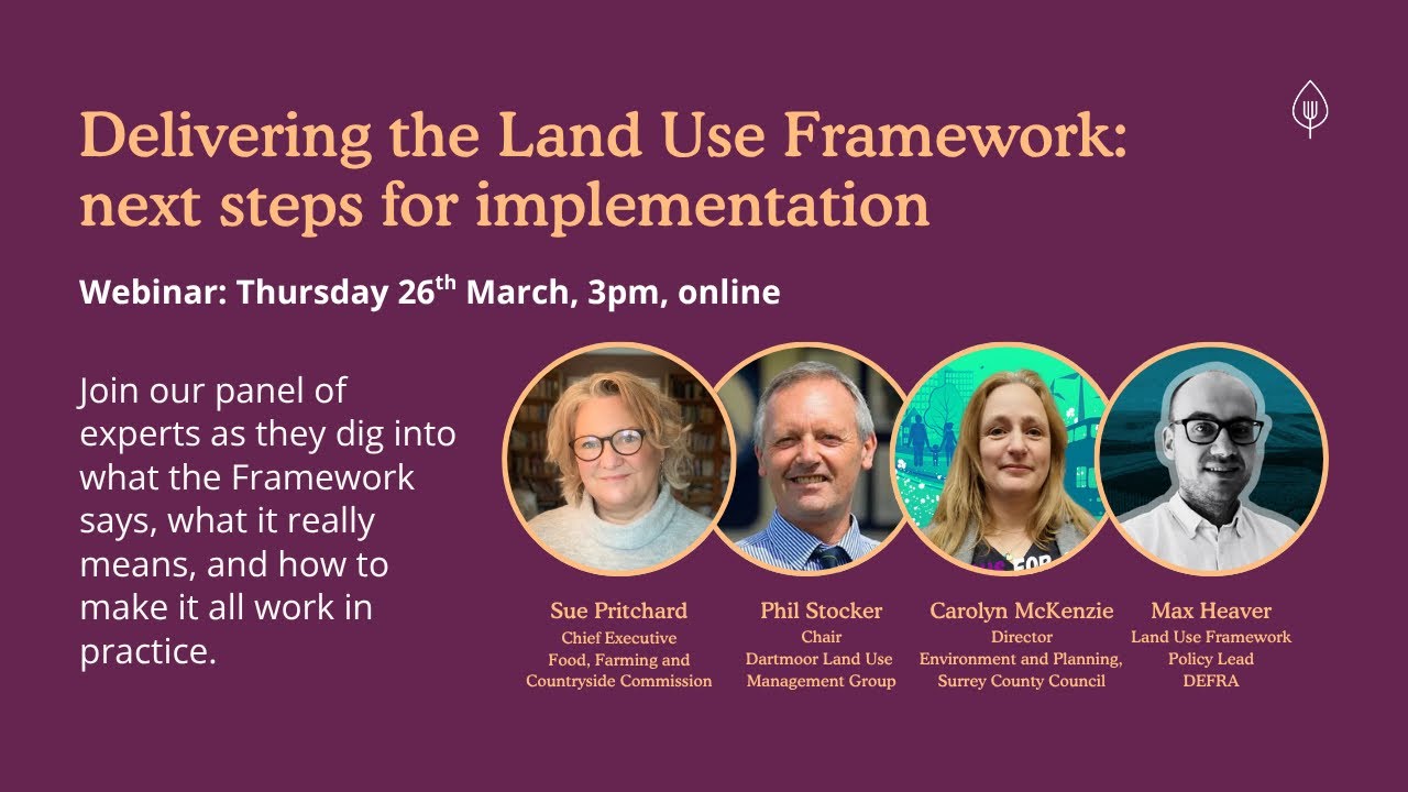 Delivering the Land Use Framework: next steps for implementation