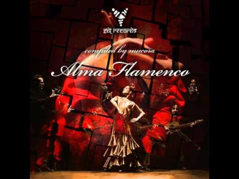 Blazing Noise - Playing Flamenco