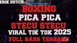 Download lagu DJ TIK TOK‼️ PICA PICA X STECU STECU TERBARU FULL BASS 2025.. mp3