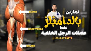 تمارين بالدامبلز فقط لعضلات الرجل الخلفية | Legs Day Part 2 👌✨
