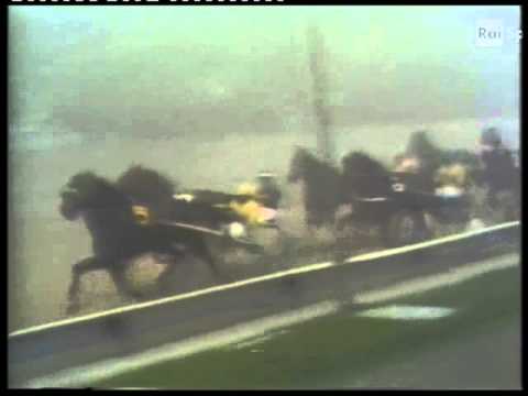 TROTTO GRAN PREMIO ORSI MANGELLI 1978