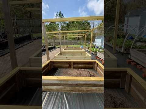 So Many New Raised Garden Beds!