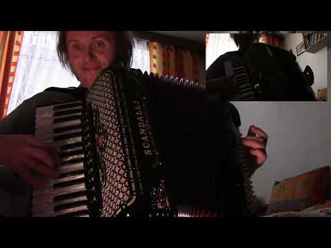 Ne, maestro (Il Maestro di violino) - cover Akordeon ,housle - akordeon Sem -V3 sound :-)