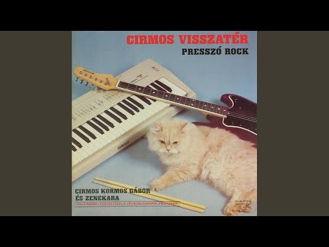 Az utolsó kintornás Pesten